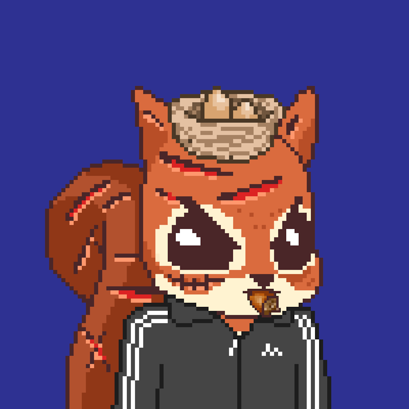 Pixel Squirrels #5572